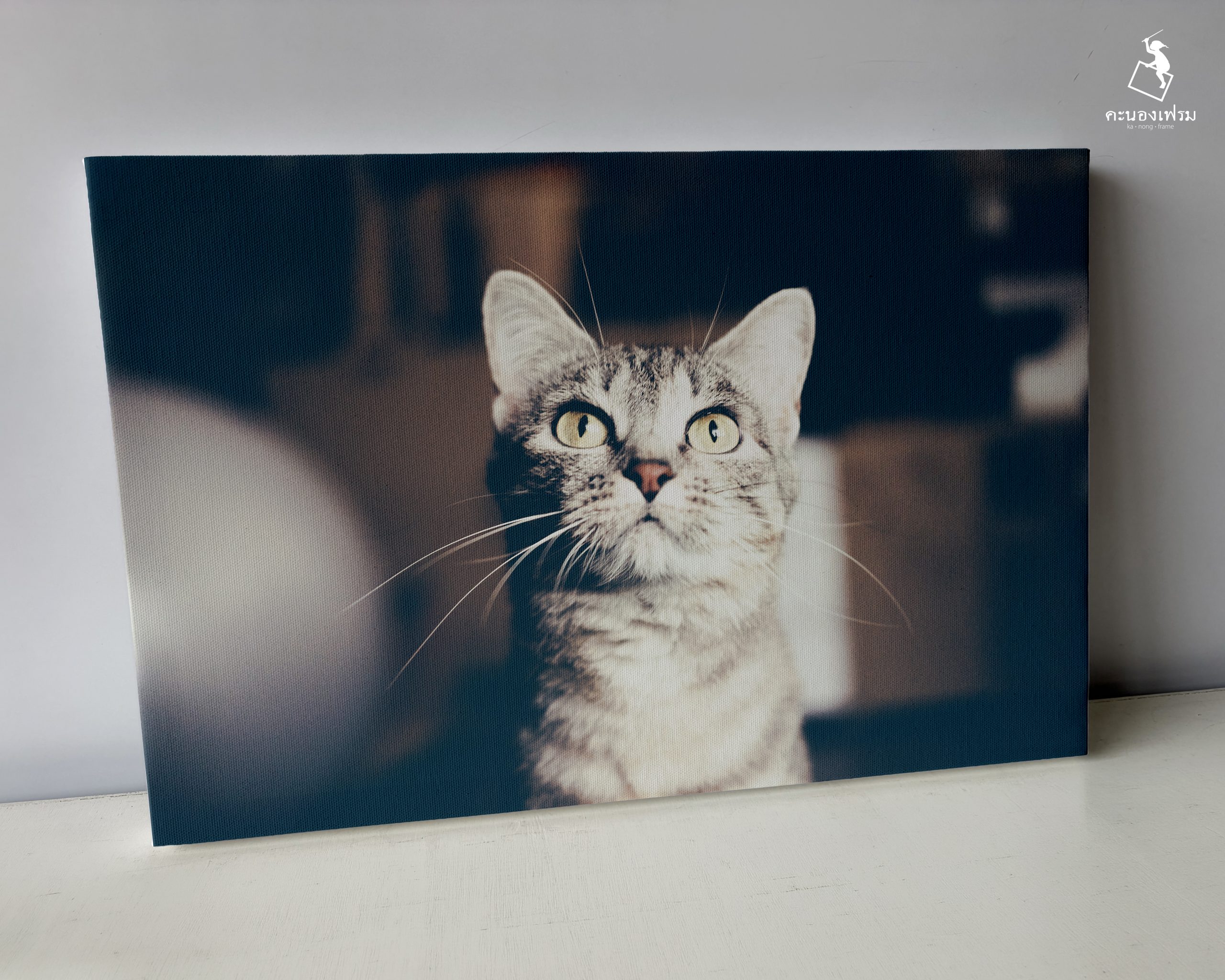 เปลี่ยนภาพน้องเหมียวสุดรัก 🐱 ให้กลายเป็นงานศิลปะบนผืนผ้าใบแคนวาส